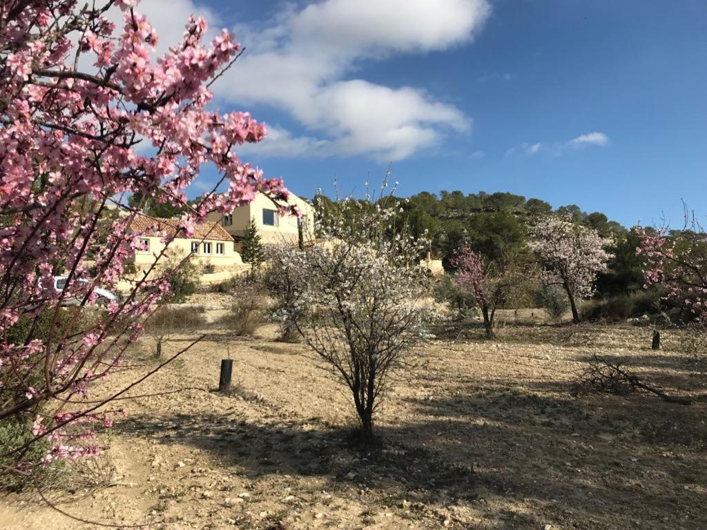 Finca Las Estrellas Relleu Kültér fotó