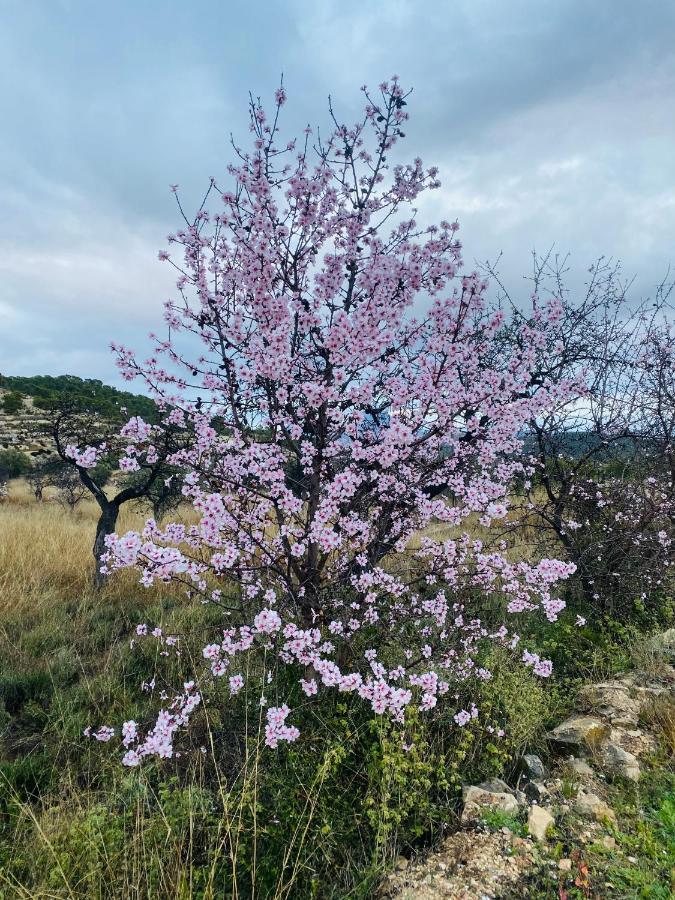 Finca Las Estrellas Relleu Kültér fotó
